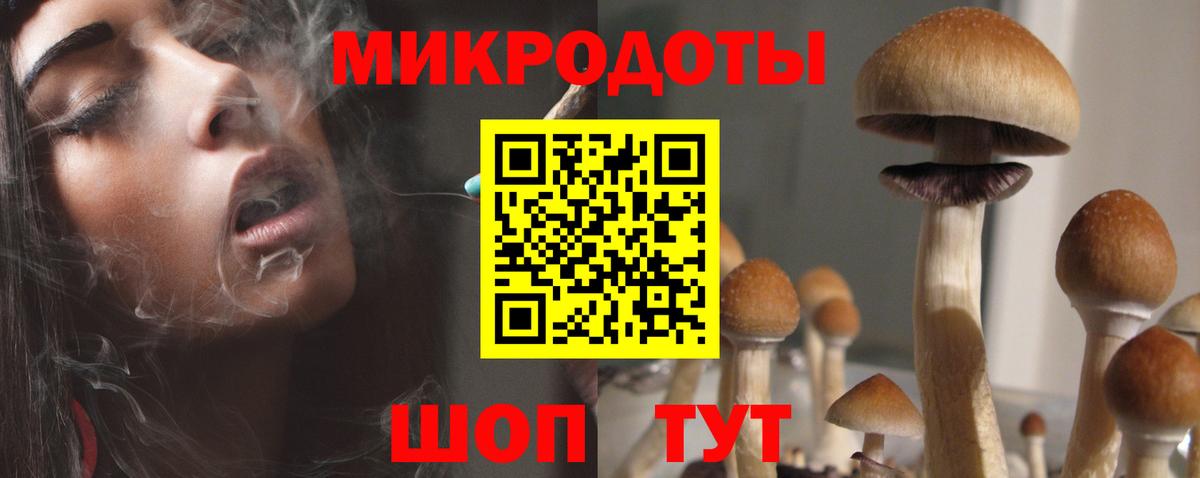 Углич  Галлюциногенные грибы прущие грибы  Вход с VPN  Псилоцибиновые грибы Psilocybine cubensis 